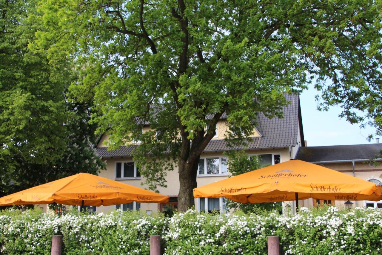 Gasthof Zur Friedenseiche Lohsa エクステリア 写真